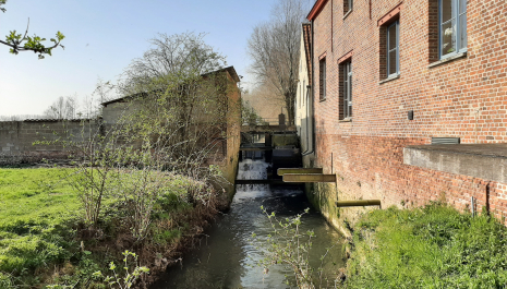 Bezoek een levende watermolen in Massemen