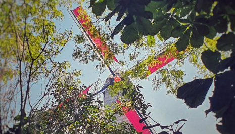 Bonne route, molenaar Patrick! Jubileumeditie met feestelijk programma