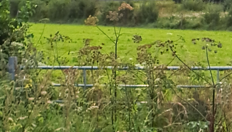 Landschapswandeling