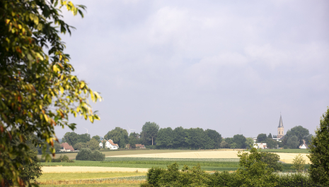 Huifkartocht naar hoeve en ast