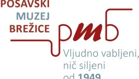 SEJEM ROKODELSKIH ZNANJ IN GRAJSKA TRŽNICA STARIN