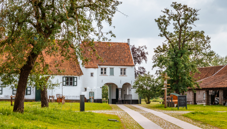 Bourgondiërs in het meetjesland