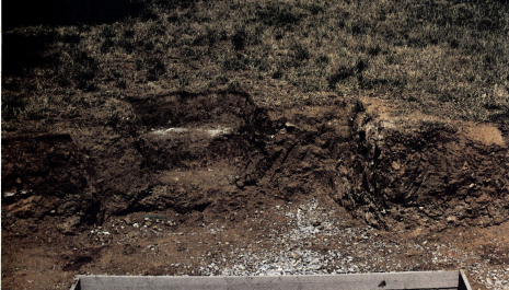 Dimitris Alitheinos's 88th Concealment's internal