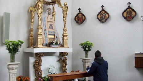 Wandel of fiets door het groen van Vilvoorde naar Grimbergen "Van basiliek tot basiliek"