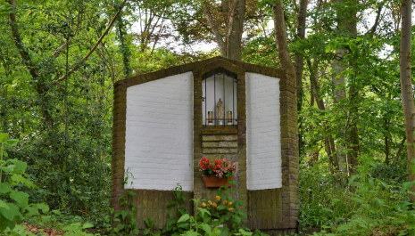 Een rustpunt in het wandelbos