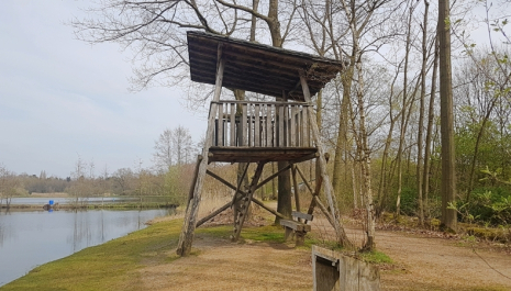 Landschapswandeling Dekshoevevijver