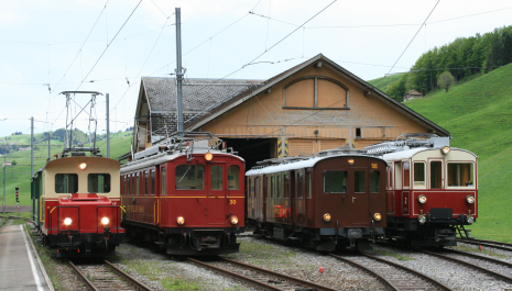 STIFTUNG HISTORISCHE APPENZELLER BAHNEN UND MUSEUM WASSERAUEN
