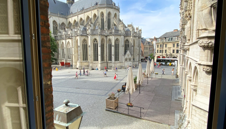 Expo 'Groeten uit Leuven'