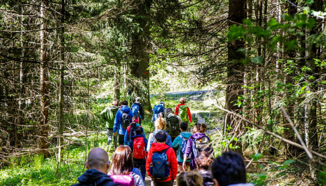 Kom deg ut og opplev flyvraket i Nordmarka med DNT Oslo og omegn!