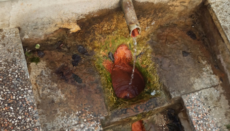 Today one of the most popular springs in Ivanjševci 