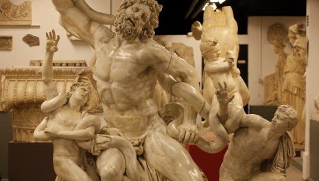Een verborgen archeologische collectie
