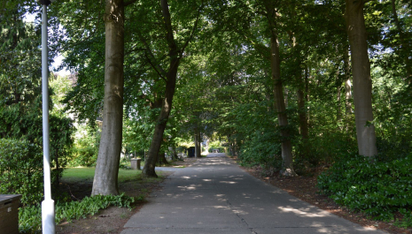 Van kasteeldomein tot wandelbos