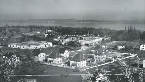 DE LA FIBRE DE COTON AU FIL DE CUIVRE