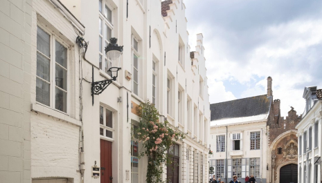 Ensemble van diephuizen aan de Dijver