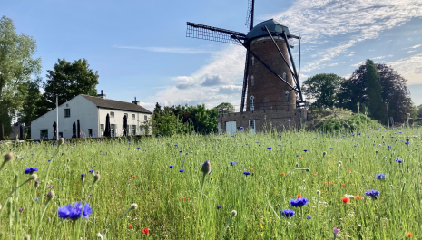 Heirbrugmolen