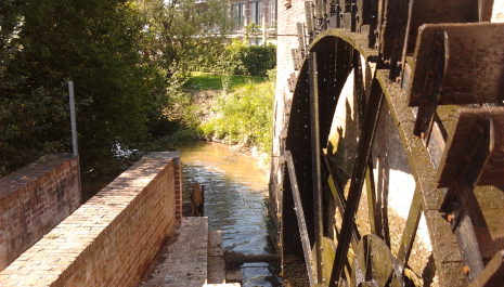Wandelen langs de 4 watermolens van de Maarkebeek in de Vlaamse Ardennen