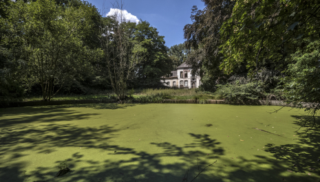 Ontdek Het Hof: een monument in transformatie