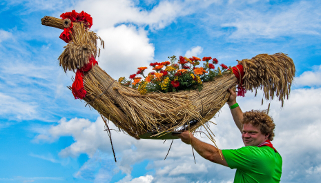 Pikkeling festival by Herman.vandenbroeck.