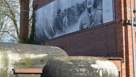 Generaal Maczek, de Poolse bevrijder van Vlaanderen