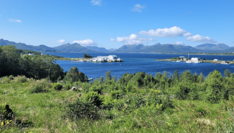 UL Solvending feirer hundre! (og vel så det…)