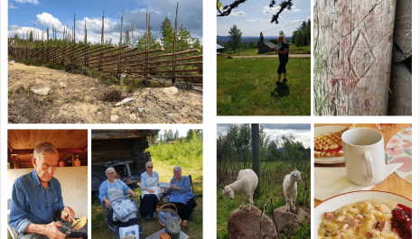 Kulturminnedag i Gravberget