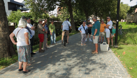 Wandeling: De Jefkes onderweg