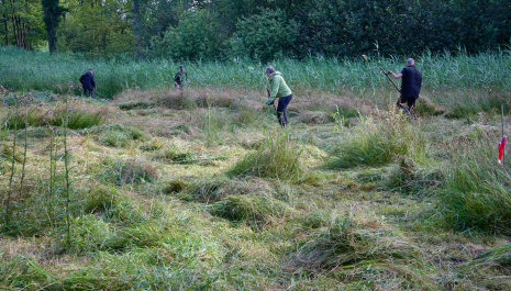 Digitale erfgoedwandeling Den Rooy/Smisselbergen