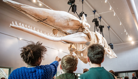 Heropening Navigo Visserijmuseum