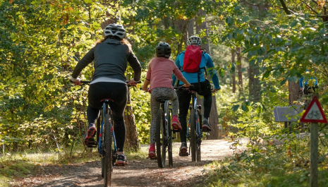 En Route! - De Laatste reis: fietsen langs drie begraafplaatsen