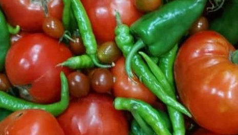 Patrimonio principal de la Gastronomia: Alimentos vivos