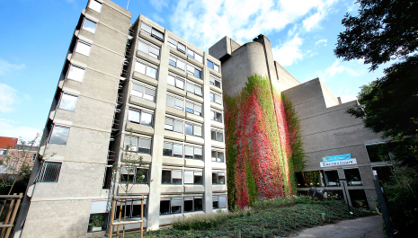 Lezing: Land van belofte en beton