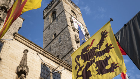 Beklim het Belfort en toren uit boven Dendermonde