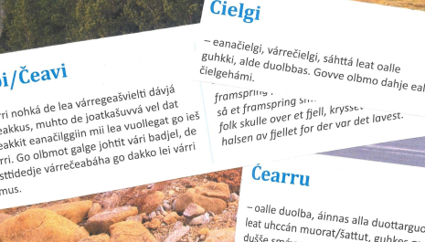Luottat ja gulahallan / Spor og dialog