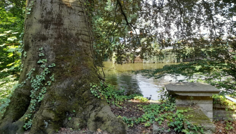 Oude grafstenen, verdwaald in het stadspark