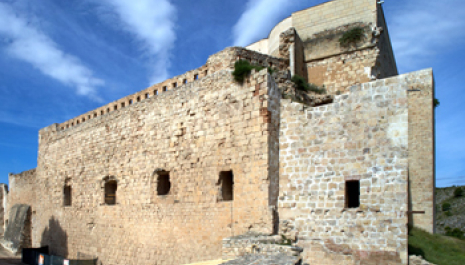 Visita guiada al castillo de Miravet