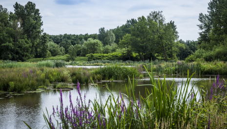 Pelgrimeren in eigen land: langs de Via Monastica van Postel naar Meerhout