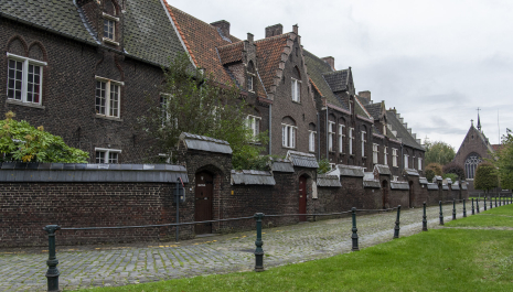 In de luwte van het hof