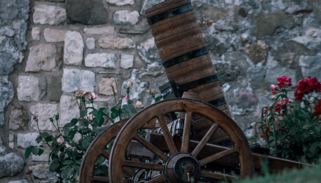 Gidswandeling naar de Duitse Toren