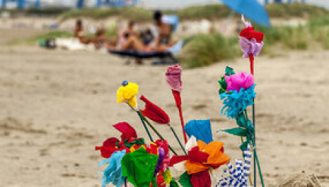 Van laatste reis tot bevrijding - Begraafplaats Sterrebeek