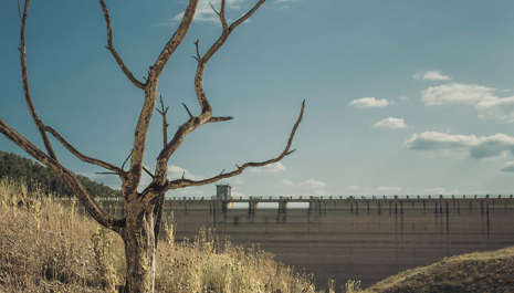 VIII Festival Terrer Priorat