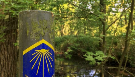 OPEN MONUMENTENDAG: Wandeling: Volg de Via Yprensis tot in Sint-Jacobskapelle