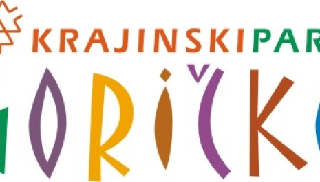 Dan odprtih vrat gradu Grad