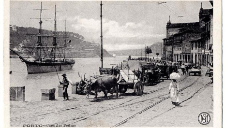 24# O Geocaching nos Caminhos do Romântico como revelação do Território - Com Teresa Portela Marques e Carolina Sousa