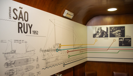 Visualização do documentário: “Campanha do São Ruy 1952” (durante o dia)