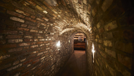 Rondleiding brouwerij en bierproces