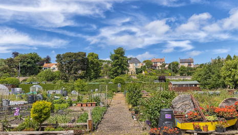 Kirkcaldy Community Gardens & Allotments (Ravenscraig)