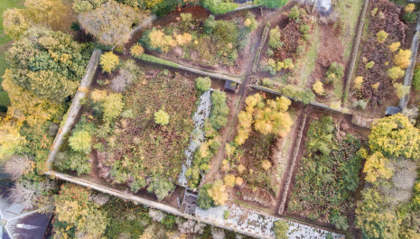 Granton Castle Walled Garden - Friends of Granton Castle Walled Garden