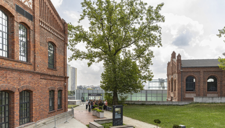 Byzuch u Ferdynanda Organizator