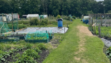 Craigie Allotments