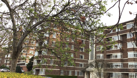 Kelvin Court